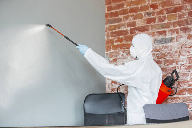 Best Crawl Space Mold Remediation  in Plymouth Meeting, PA