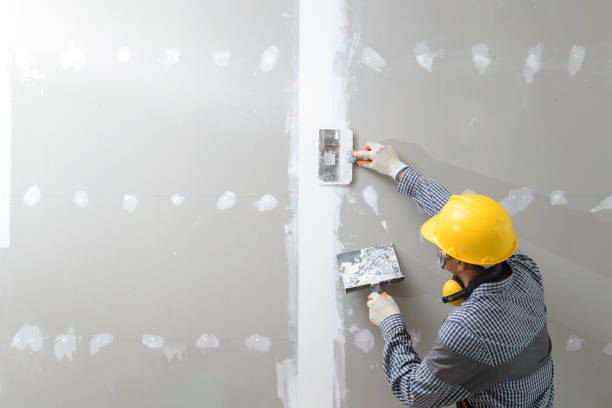 Best Mold Removal for HVAC Installations  in Plymouth Meeting, PA